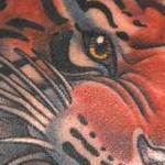 Tattoos - Tiger Chest - 114467